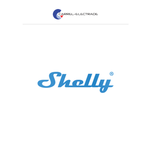 Shelly Z-Wave 2PM 2-Channel 10A Relay with Power Metering